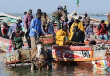 Pêche illégale présumée, dix pirogues sénégalaises saisies en Guinée-Bissau