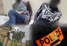 Fatick : 54 kg de chanvre indien saisis lors d’une opération antidrogue musclée