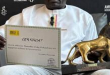 Protection de l’environnement : Mamadou Oudy Diallo distingué par Amnesty International Sénégal