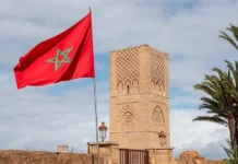 Maroc : Fin des exportations de sardines congelées à partir de février