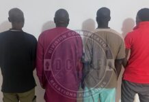 Opération coup de poing à Kaolack : 4 suspects arrêtés avec 100 millions FCFA en faux billets