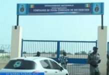 Coup de filet de la BR : un réseau présumé d’homosexuels démantelé entre Touba et Mbacké