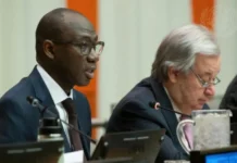 ONU : la confiance renouvelée au Sénégal pour défendre les droits du peuple palestinien