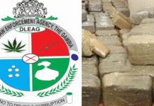 Gambie : Des Sénégalais impliqués dans un important trafic de stupéfiants