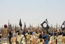 Afrique : Préoccupation face à la progression du groupe État islamique