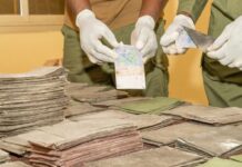 Faux monnayage : les Douanes interceptent 1 milliard de FCFA à Kaolack