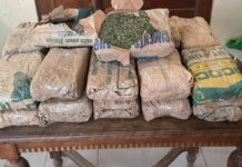 23 kg de drogue saisis à Saly-Portudal malgré l’agression des forces de l’ordre