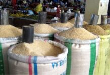 Riz local : L’État instaure une subvention de 50 FCFA par kilogramme