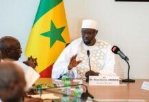 Présidentielle 2029 : le camp SONKO accentue la pression sur Diomaye FAYE