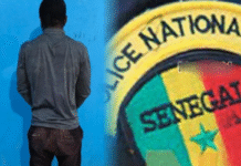 Affaire du Ghanéen arrêté à Jaxaay : 120 vidéos compromettantes et neuf victimes présumées