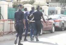 Arme factice, drogue et brouilleur saisis, la police met fin aux activités d’un gang présumé