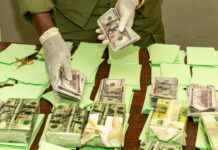 Saisie record de faux billets à Dakar : les Douanes frappent un grand coup à Thiaroye Azur