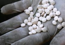 MDMA, haschich et cash saisis à Grand-Dakar, un cuisinier au cœur d’un réseau de revente