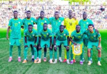 États-Unis 2026 : les Lions du Sénégal fixent leur base dans le New Jersey