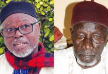 « Spoliation innommable » : Alioune Tine demande à Diomaye d’écouter Bocar Samba Dièye