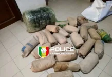 Lutte antidrogue à Dakar : importante saisie de chanvre indien à Thiaroye-sur-Mer