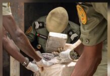 Trafic international de drogue : les Douanes interceptent près d’une tonne de cocaïne à Koumpentoum