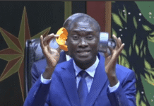 Main levée du bracelet électronique : la Commission d’instruction de la Haute Cour de Justice dit niet à Ismaila Madior Fall