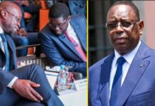 « Vous ne verrez nulle part la mention de dette cachée », les vérités de Mamadou Faye sur le rapport de la Cour des comptes