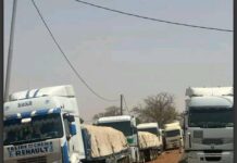 Interdiction d’importer du ciment sénégalais, les industriels gambiens dénoncent le jeu clair obscur du président Barrow