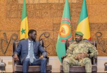 Coopération Mali-Sénégal : face au terrorisme Bassirou Diomaye Faye réaffirme à Bamako le « soutien indéfectible » de Dakar