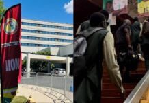 Mondial 2026 : le scandale sexuel qui a éclaboussé les Lions du Sénégal