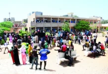 Baccalauréat 2026 : les filles confirment leur suprématie à Dakar et haussent le taux de réussite dans la capitale