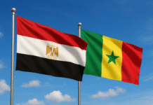 Coopération éducative : l’Égypte offre 40 bourses supplémentaires au Sénégal