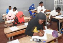 Bac 2026 : l’alerte rouge sur les filières scientifiques