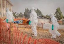 Ebola en RDC et en Ouganda : le bilan franchit le seuil des 1.000 morts