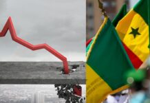 IDE en baisse de 90 % : le Sénégal face à un sérieux défi d’attractivité