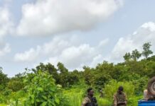 Kédougou : importante saisie de matériel lors d’une opération contre l’orpaillage clandestin