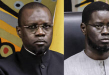 Opinion : Duel Sonko-Diomaye et la mort programmée de l’opposition (Par Abdoulaye Gallo Diao )