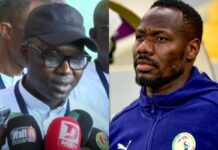 Succession de Pape Thiaw : la FSF cible trois profils pour diriger les Lions