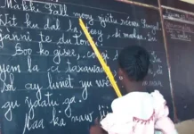 Éducation nationale : une stratégie pour consolider le modèle d’enseignement bilingue