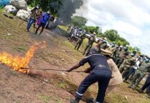 Kédougou : 9 tonnes de produits illicites détruites, pour une valeur de 570 millions FCFA