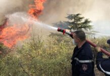 Incendies en Algérie : Quelques 64 points non encore maîtrisés, douze morts et plusieurs blessés