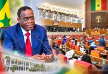 Discours xénophobes : le Premier ministre Al Aminou Lo appelle à faire cesser de telles pratiques devant les députés