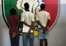 Surveillance nocturne à Koudam : trois hommes arrêtés par les forces de l’ordre pour actes contre nature
