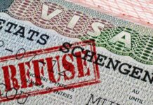 Près de 40 milliards de FCFA envolés : le lourd tribut des refus de visas Schengen