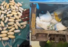 Kédougou : 68 boulettes de cocaïne et 150 sacs de cyanure interceptés