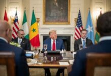 États-Unis : cinq Sénégalais de plus dans le viseur de l’administration Trump