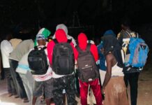 Tentative de migration irrégulière : 66 personnes dont des sénégalais interpellées en Gambie