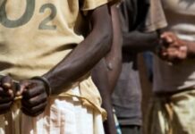 Affaire présumée d’actes contre nature : les interpellations se multiplient à Tambacounda
