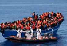 Migration irrégulière : 200 migrants interceptés, dont 124 Sénégalais